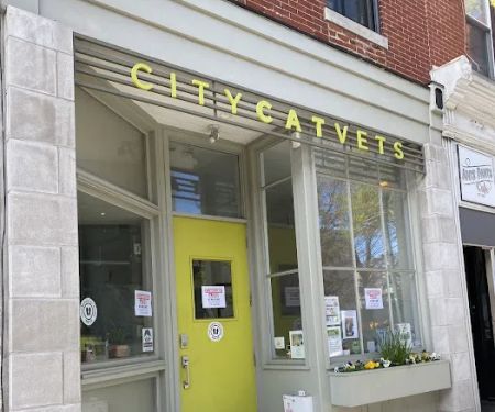 City Cat Vets