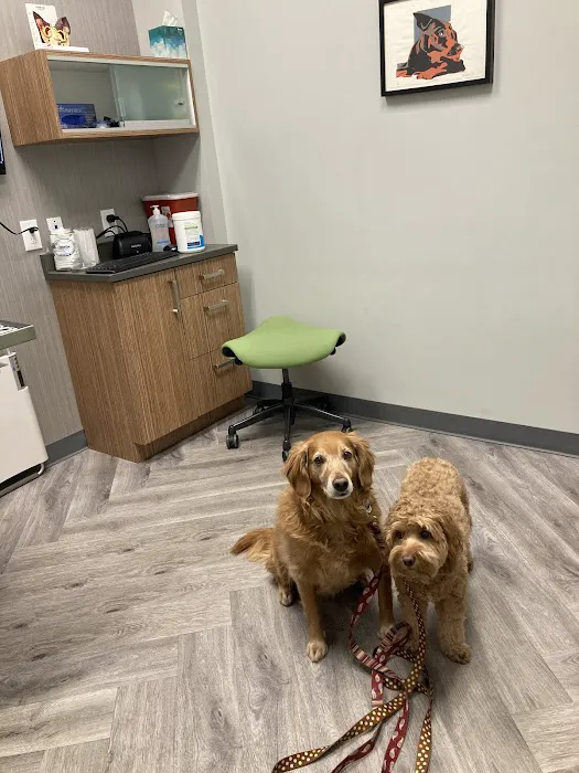 Art Museum Veterinary Center Picture 1