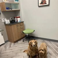 Art Museum Veterinary Center ico
