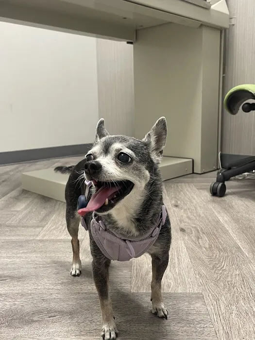Art Museum Veterinary Center Picture 10
