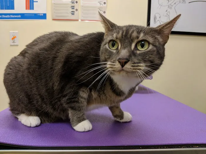 Center City Veterinary Hospital Picture 10