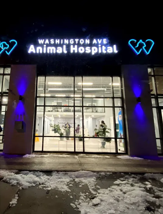 Washington Ave Animal Hospital Picture 2
