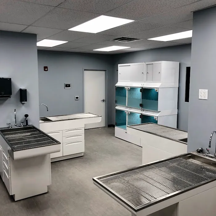 Washington Ave Animal Hospital Picture 7