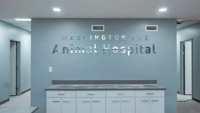 Washington Ave Animal Hospital Picture 10
