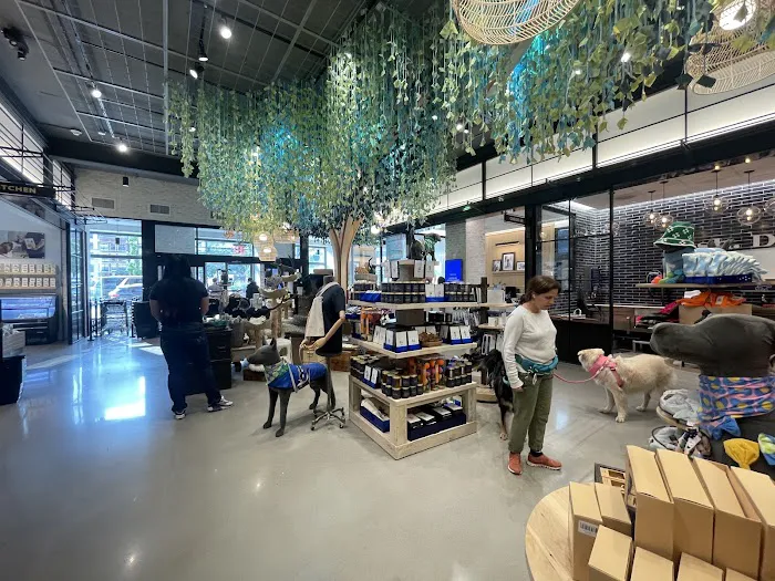 Petco Picture 2