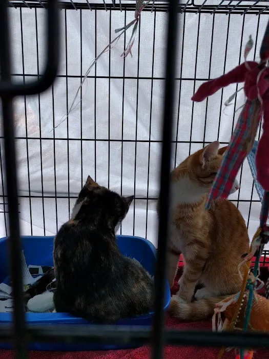 Petco Picture 9