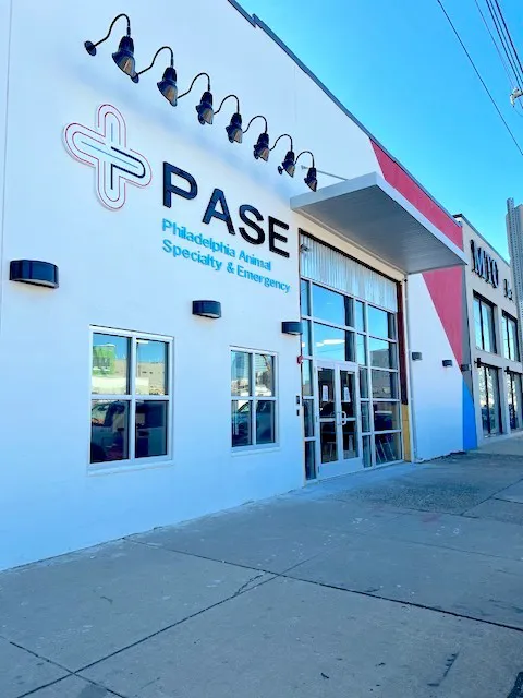 Philadelphia Animal Specialty & Emergency (PASE) Picture 1