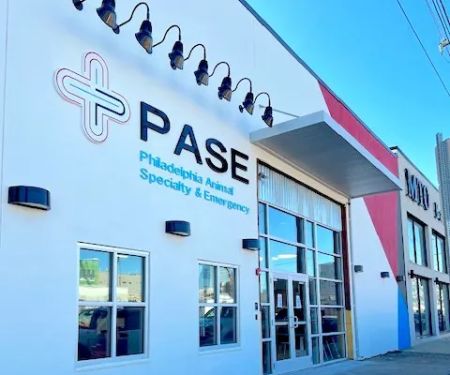 Philadelphia Animal Specialty & Emergency (PASE)