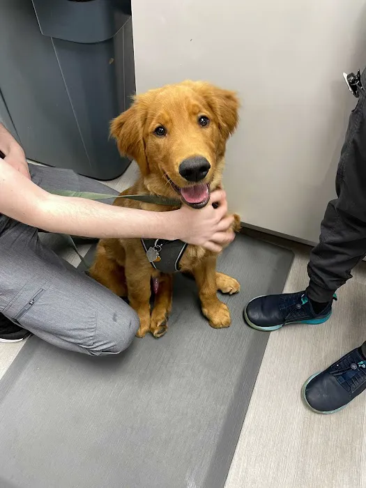 Philadelphia Animal Specialty & Emergency (PASE) Picture 5