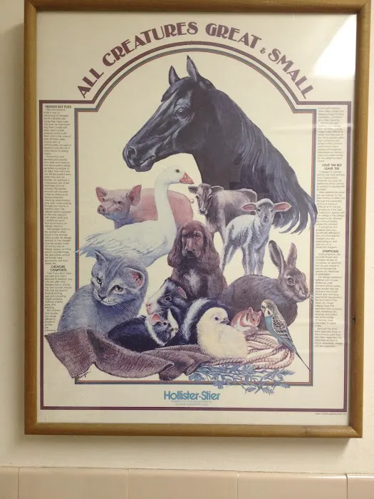 Fairmount Animal Hospital Picture 5