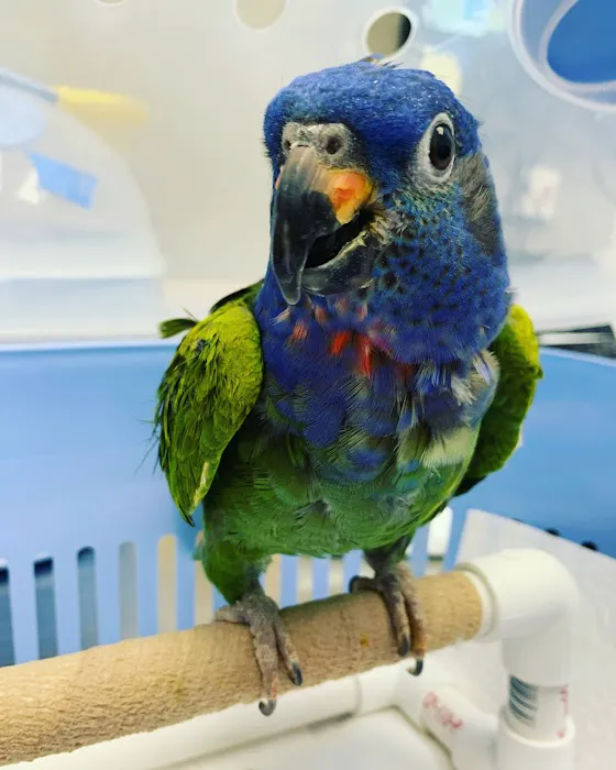 Avian & Exotic Philly Vet Medical Surgical Clinic Picture 1