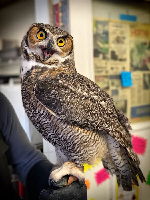 Avian & Exotic Philly Vet Medical Surgical Clinic Picture 6