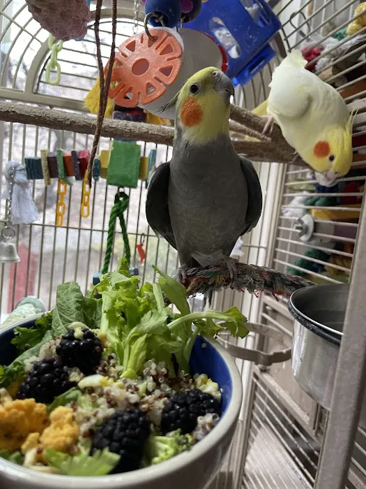 Avian & Exotic Philly Vet Medical Surgical Clinic Picture 9