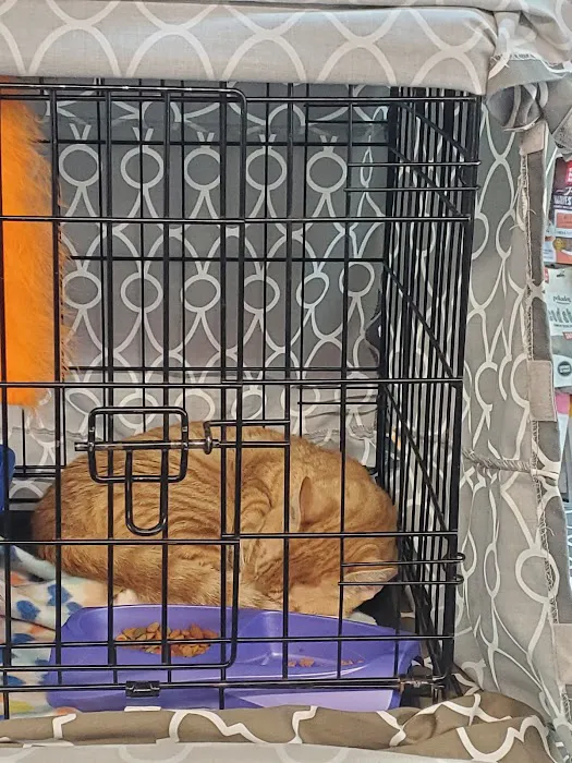 Fussy Friends Pet Supplies Picture 3