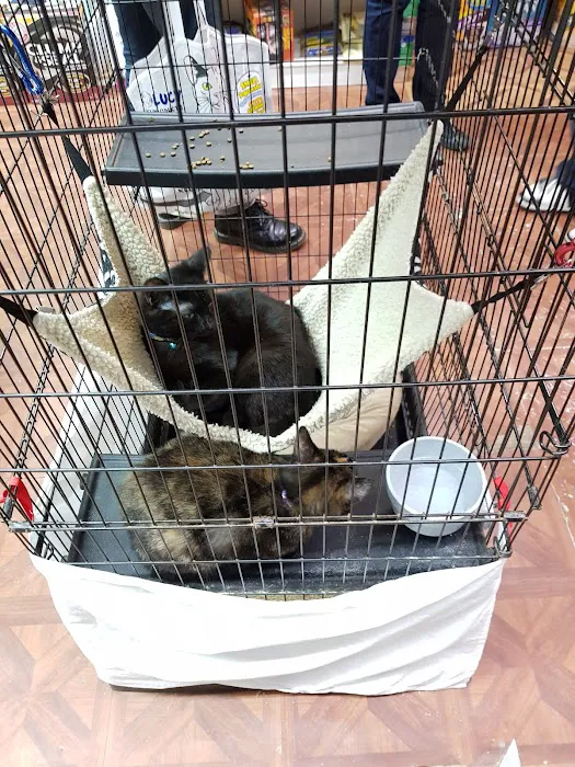 Fussy Friends Pet Supplies Picture 6
