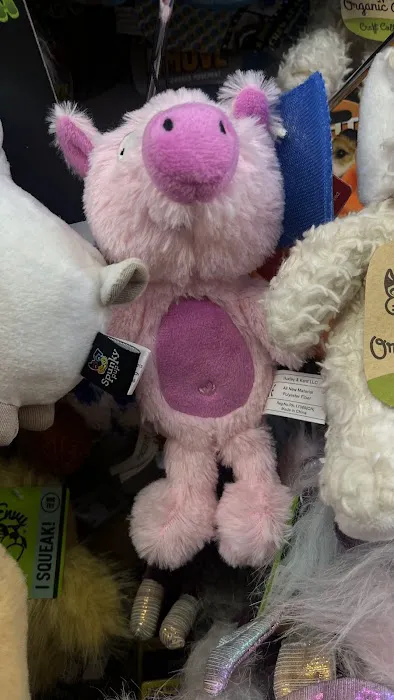 Fussy Friends Pet Supplies Picture 5
