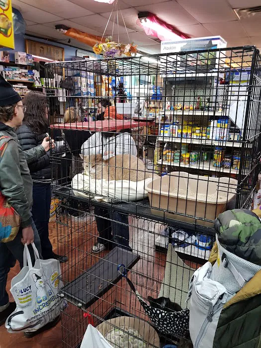Fussy Friends Pet Supplies Picture 8
