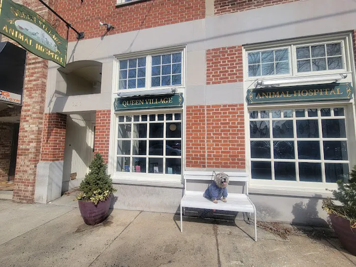 Queen Village Animal Hospital Picture 1