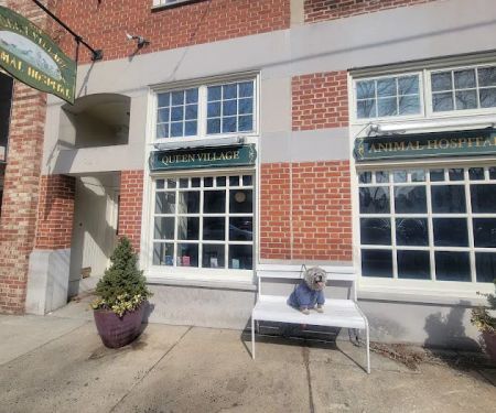 Queen Village Animal Hospital