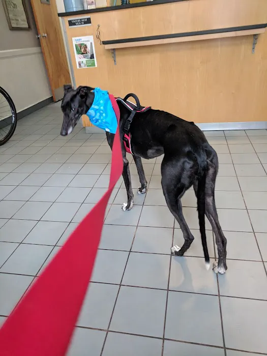 Queen Village Animal Hospital Picture 2