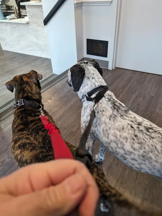 Queen Village Animal Hospital Picture 5