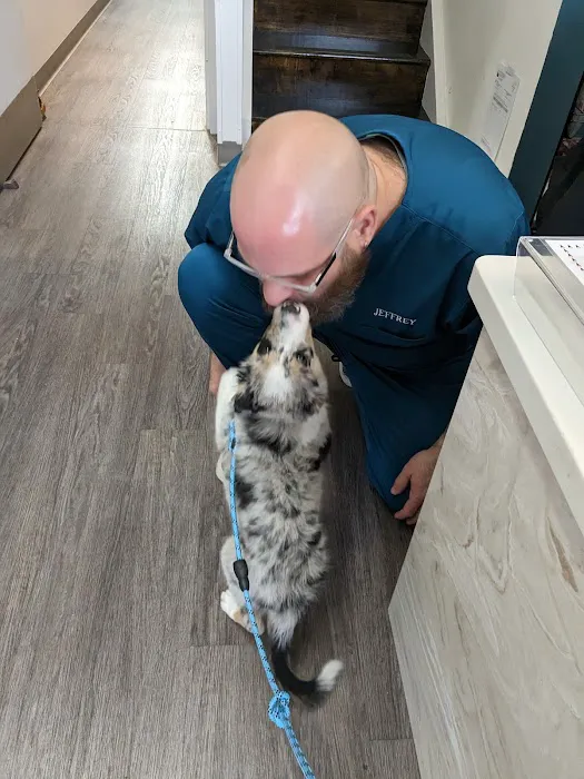 Queen Village Animal Hospital Picture 8