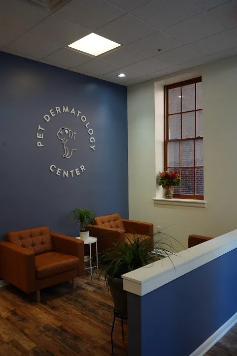 Pet Dermatology Center Philly Picture 9