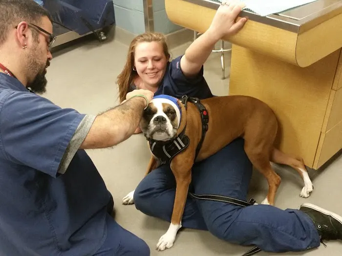 Society Hill Veterinary Hospital Picture 2