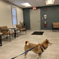 Society Hill Veterinary Hospital ico