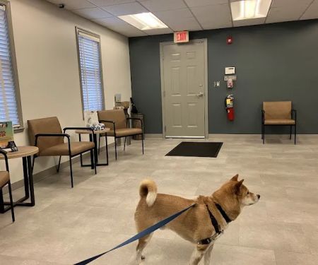 Society Hill Veterinary Hospital