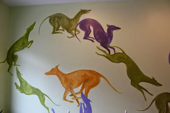 WAG: Whole Animal Gym Picture 3