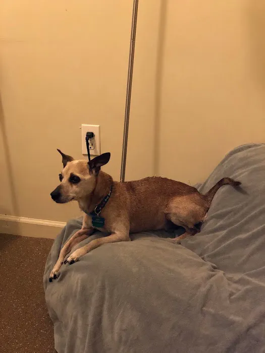 WAG: Whole Animal Gym Picture 4