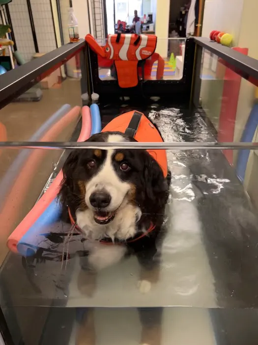 WAG: Whole Animal Gym Picture 7