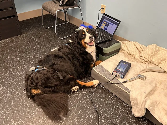 WAG: Whole Animal Gym Picture 10