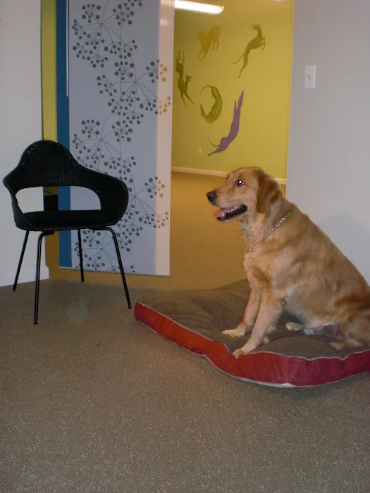 WAG: Whole Animal Gym Picture 9