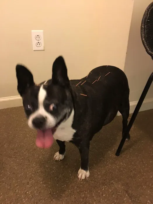 WAG: Whole Animal Gym Picture 8