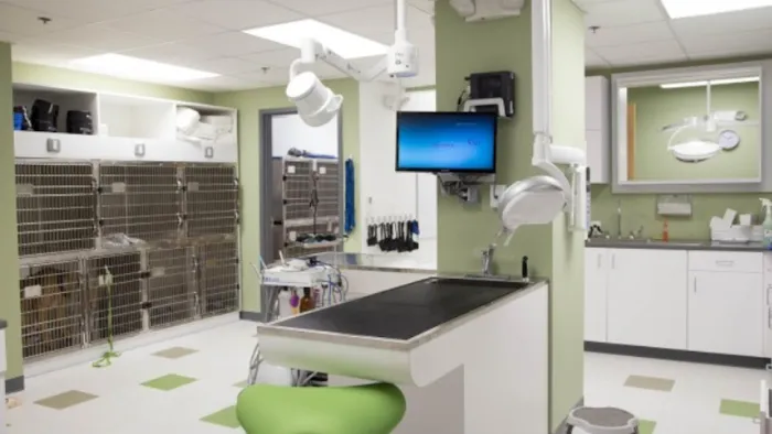 Northern Liberties Veterinary Center Picture 10