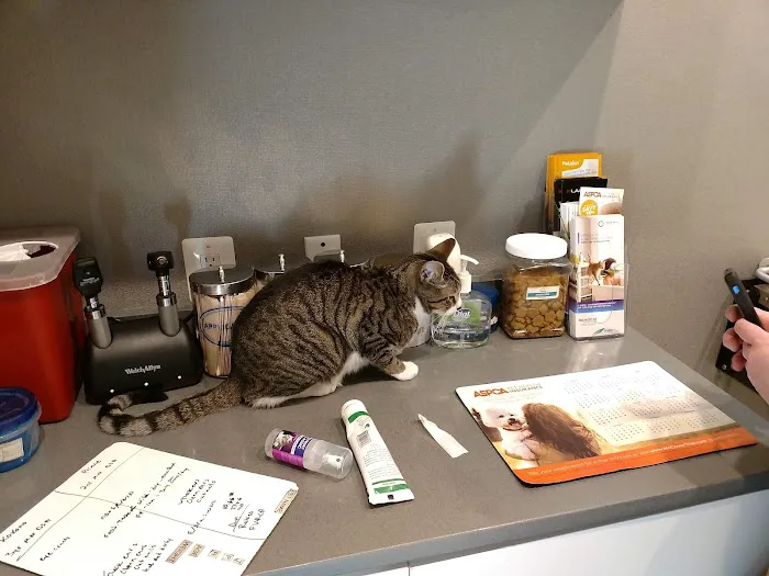 Northern Liberties Veterinary Center Picture 4