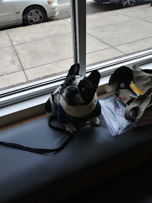 Northern Liberties Veterinary Center Picture 7