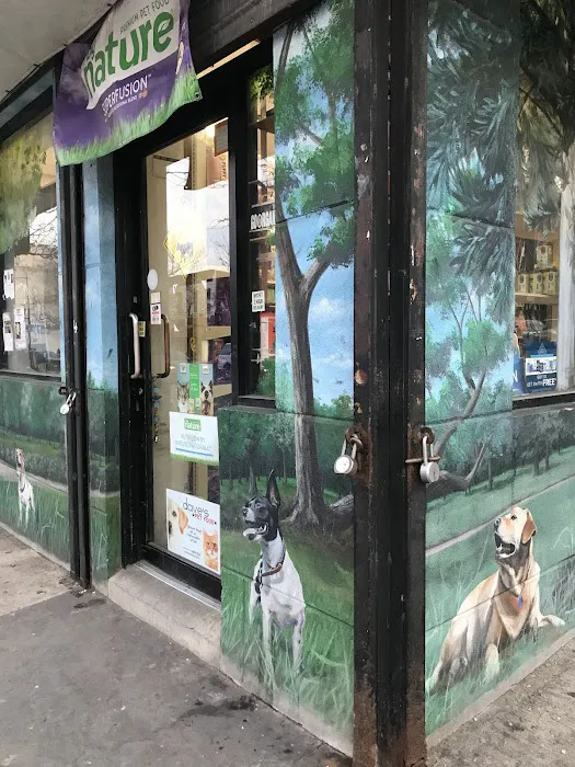 NYC Pet Picture 5