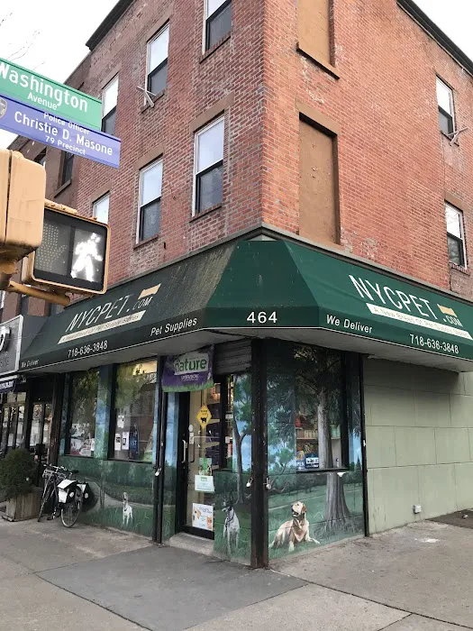 NYC Pet Picture 4