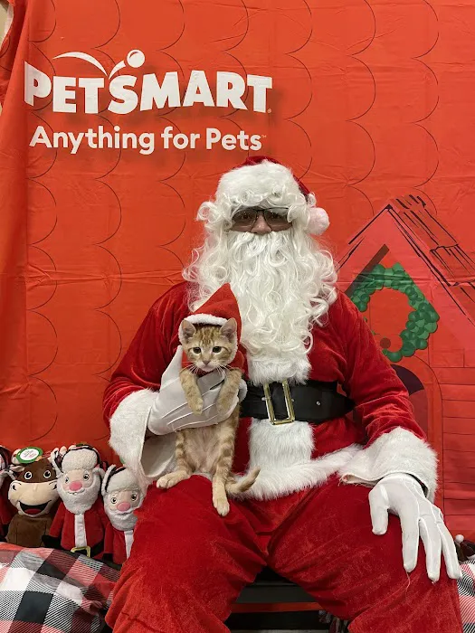 2nd Street Animal Hospital & Exotic Clinic Picture 4