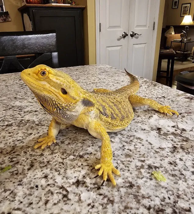 2nd Street Animal Hospital & Exotic Clinic Picture 7