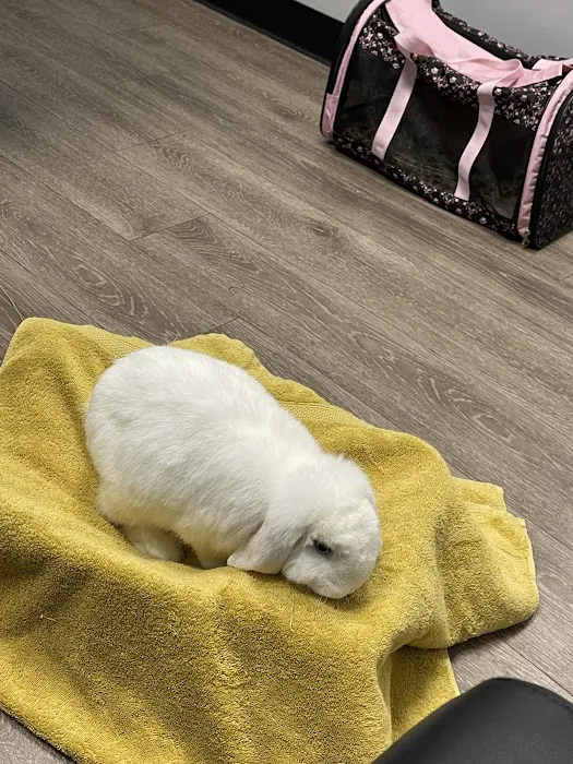 2nd Street Animal Hospital & Exotic Clinic Picture 5