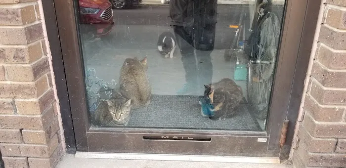 Pet Vet Clinic On Passyunk Picture 2