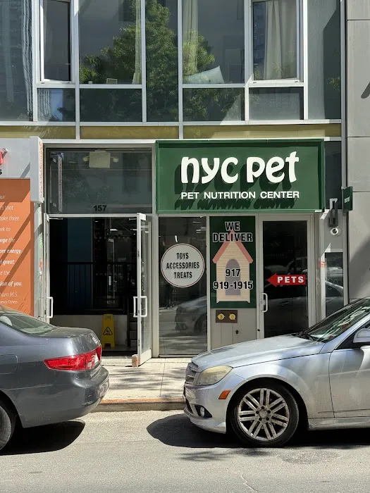 NYC Pet Picture 7