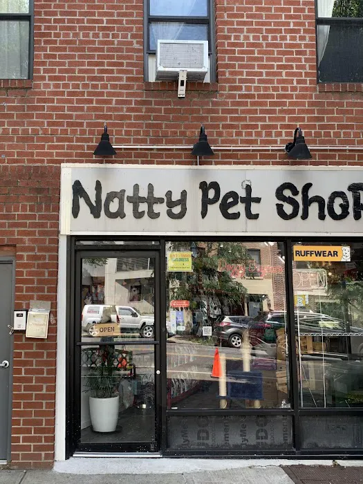 Natty Pet Shop Picture 5
