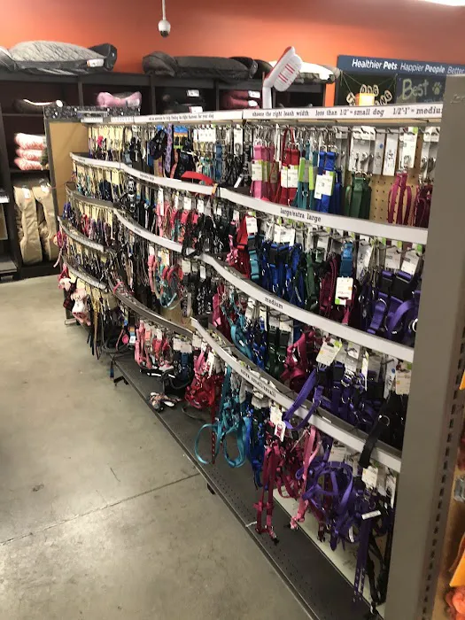 Unleashed by Petco Picture 6