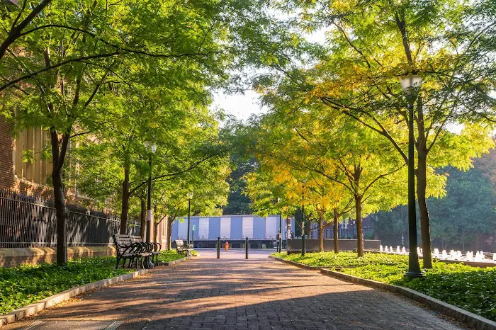 University of Pennsylvania School of Veterinary Medicine Picture 5