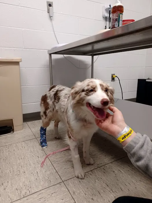 Ryan Veterinary Hospital Picture 1